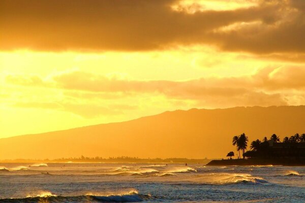 Onde dell oceano al tramonto con palme