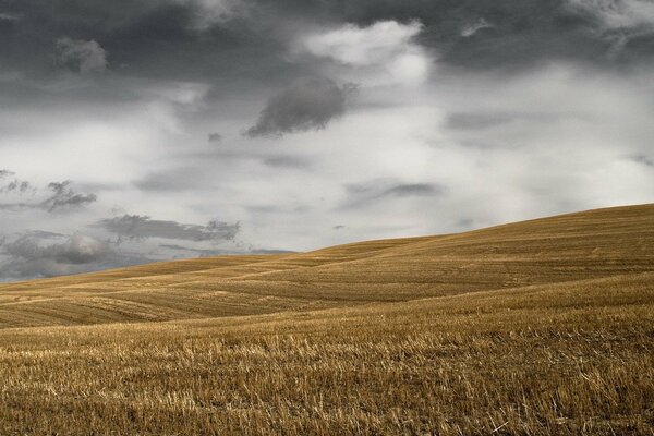 Campo smussato su uno sfondo di nuvole grigie