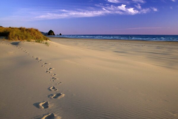 Sandy seashore with footprints