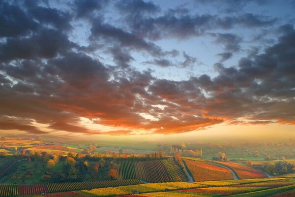 Goldener Herbst in den grünen Feldern