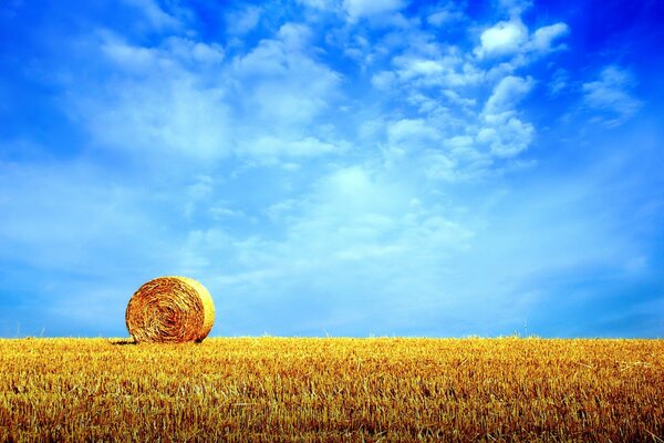 A haystack in a field against a blue sky