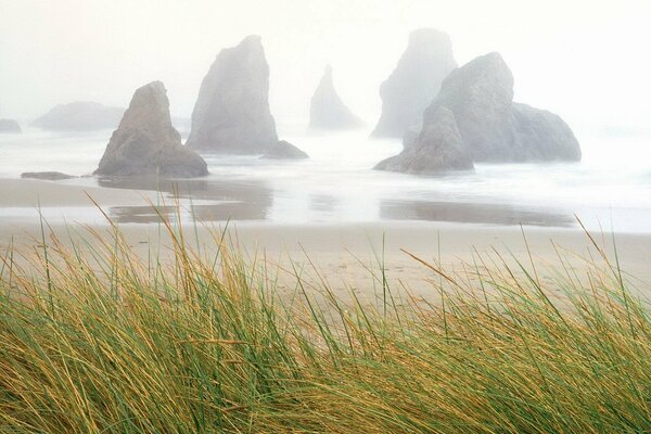 Rocks and fog over the sea with a sandy shore