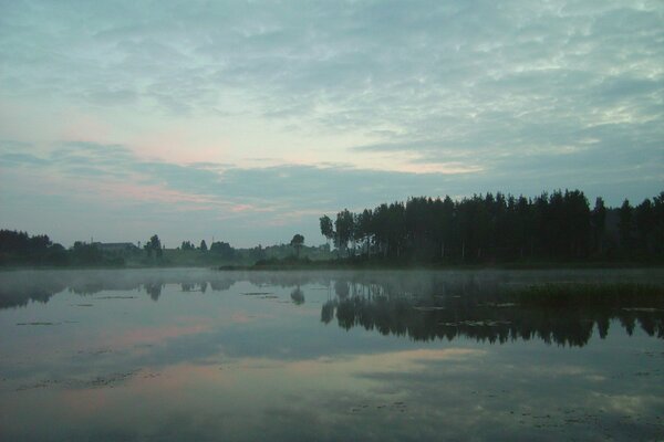 Trees in the evening over the lake