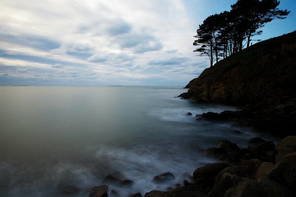 Falaise avec des arbres au-dessus de la côte enfumée de la mer