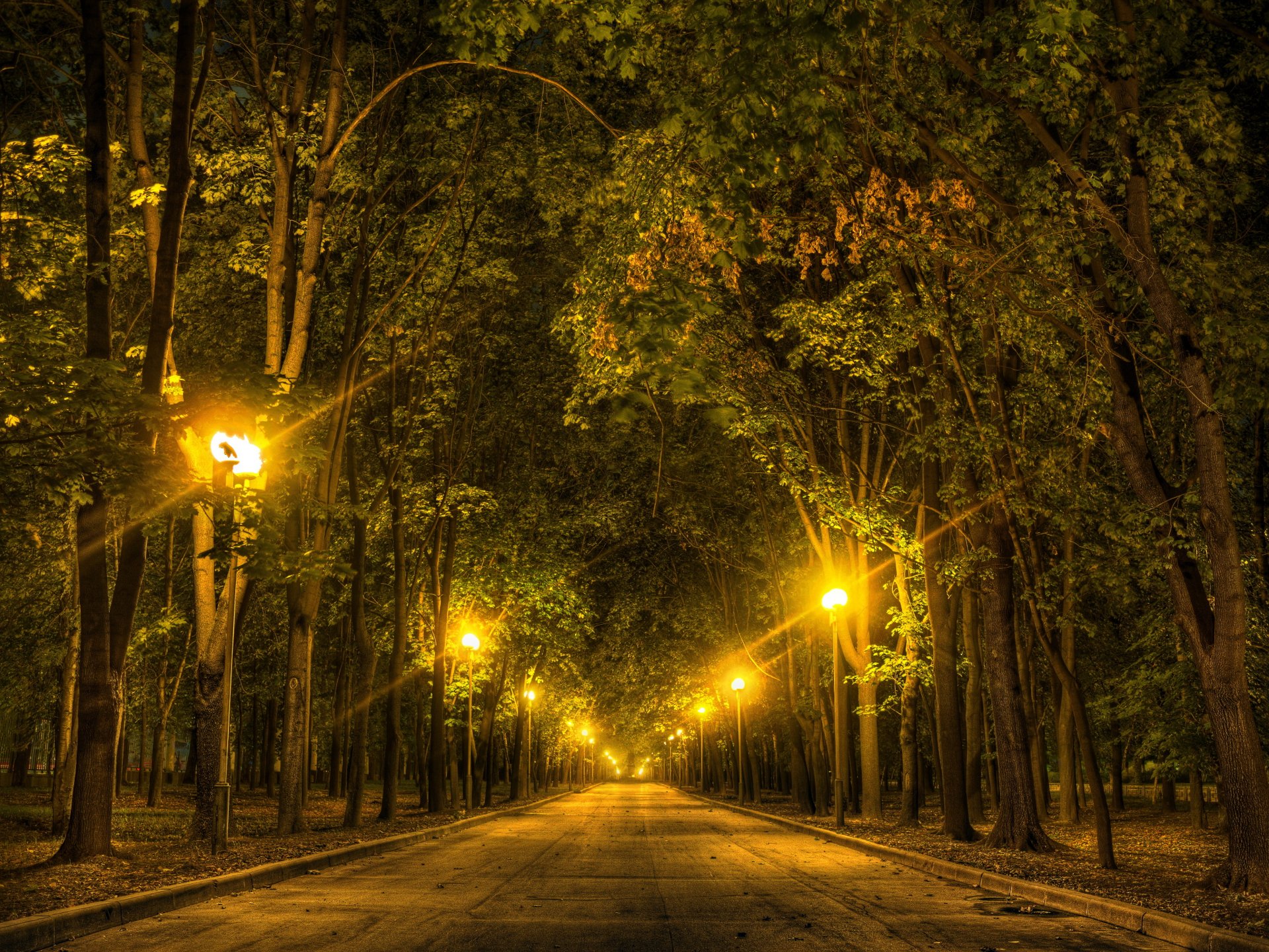 russland moskau moskauer staatliche universität mv park bäume gasse nacht lichter laternen