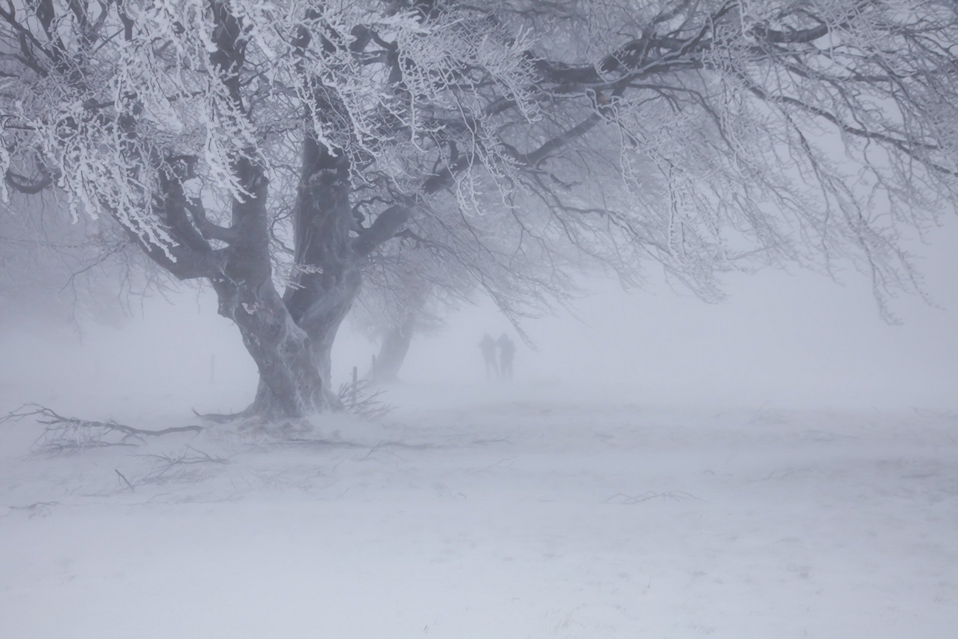 invierno nieve ventisca