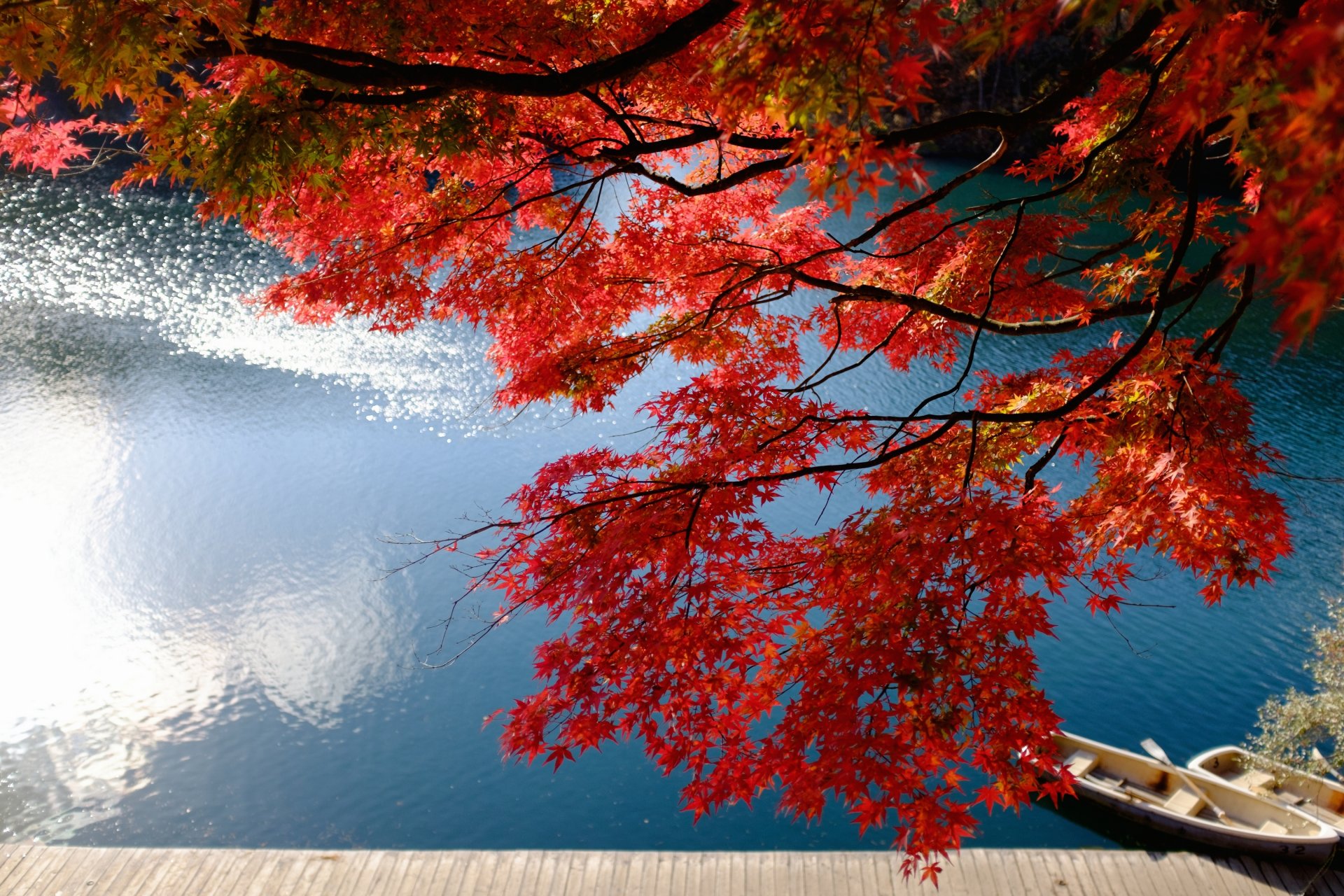 lago bishamon bandai fukushima japón lago bishamon bandai lago barcos muelle arce japonés ramas otoño