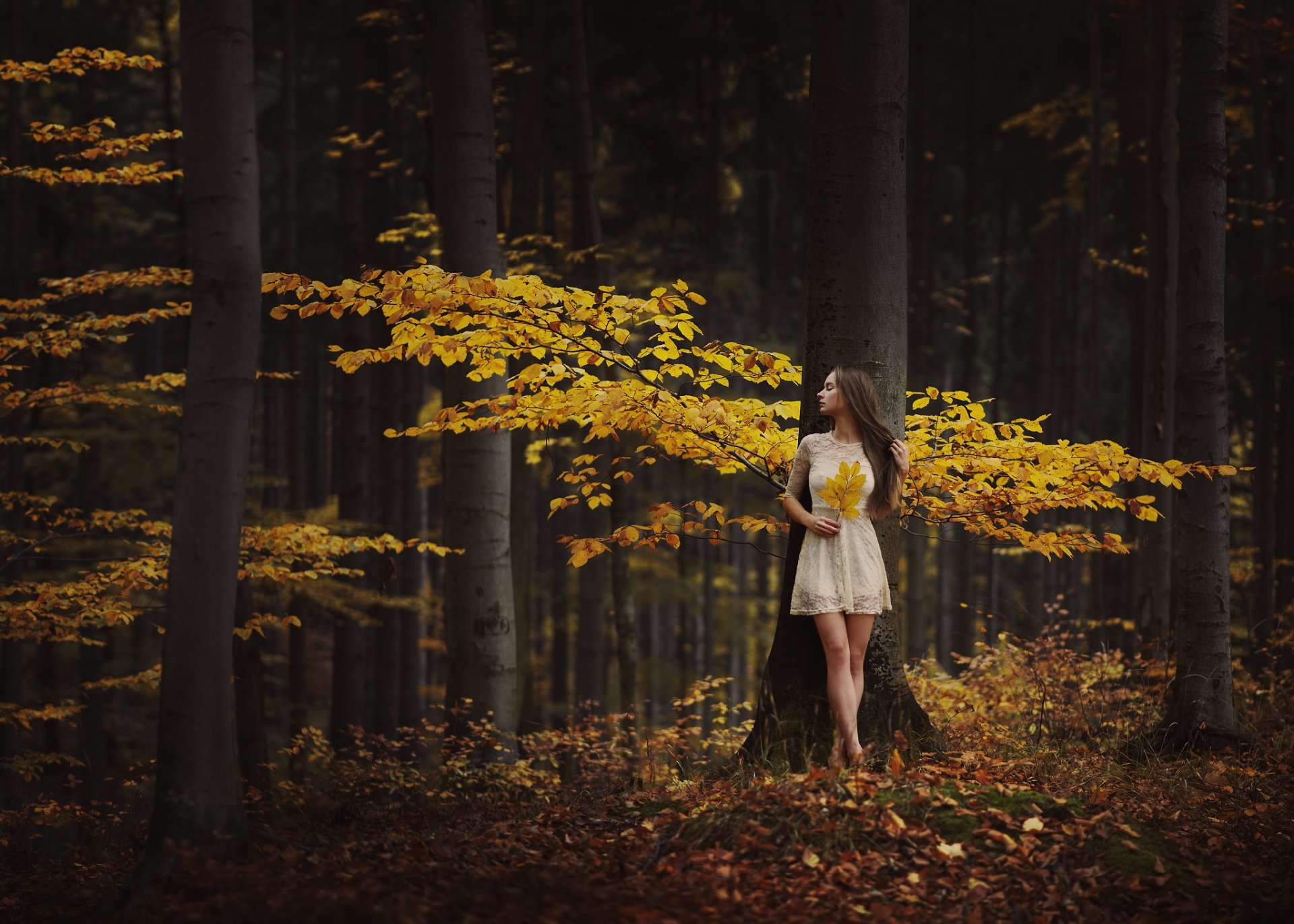 fille forêt automne