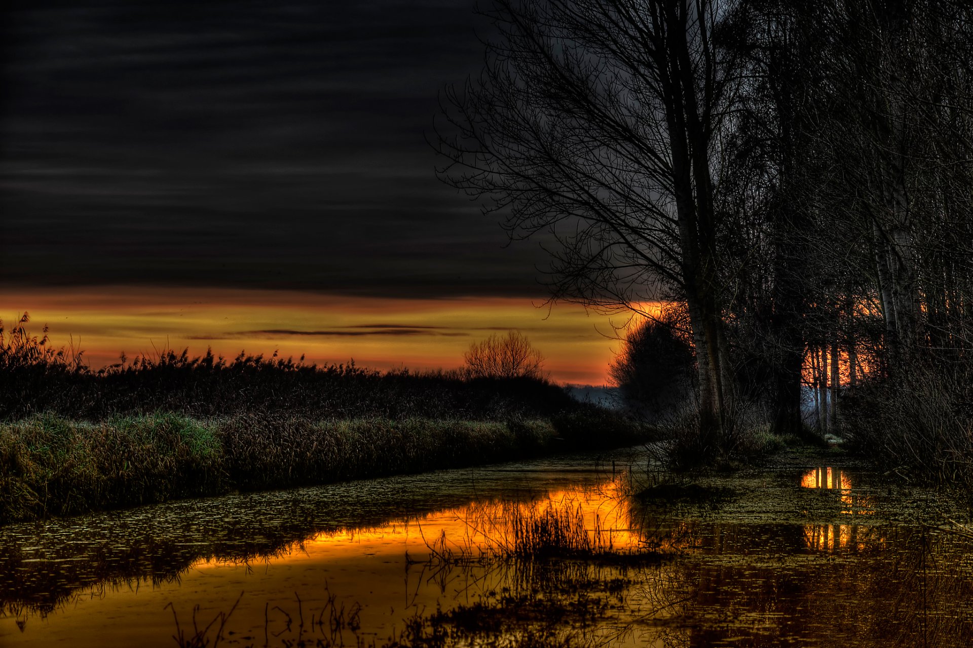 golden hour lake tree reflection