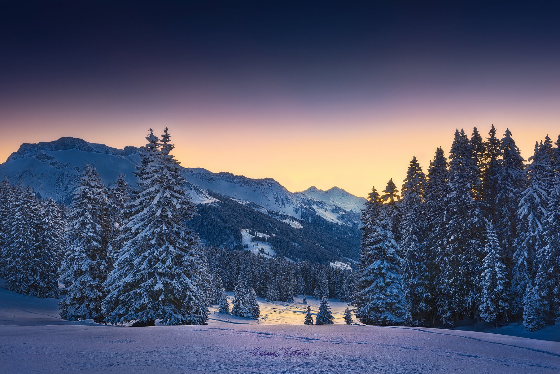 mountain alps morning winter forest snow