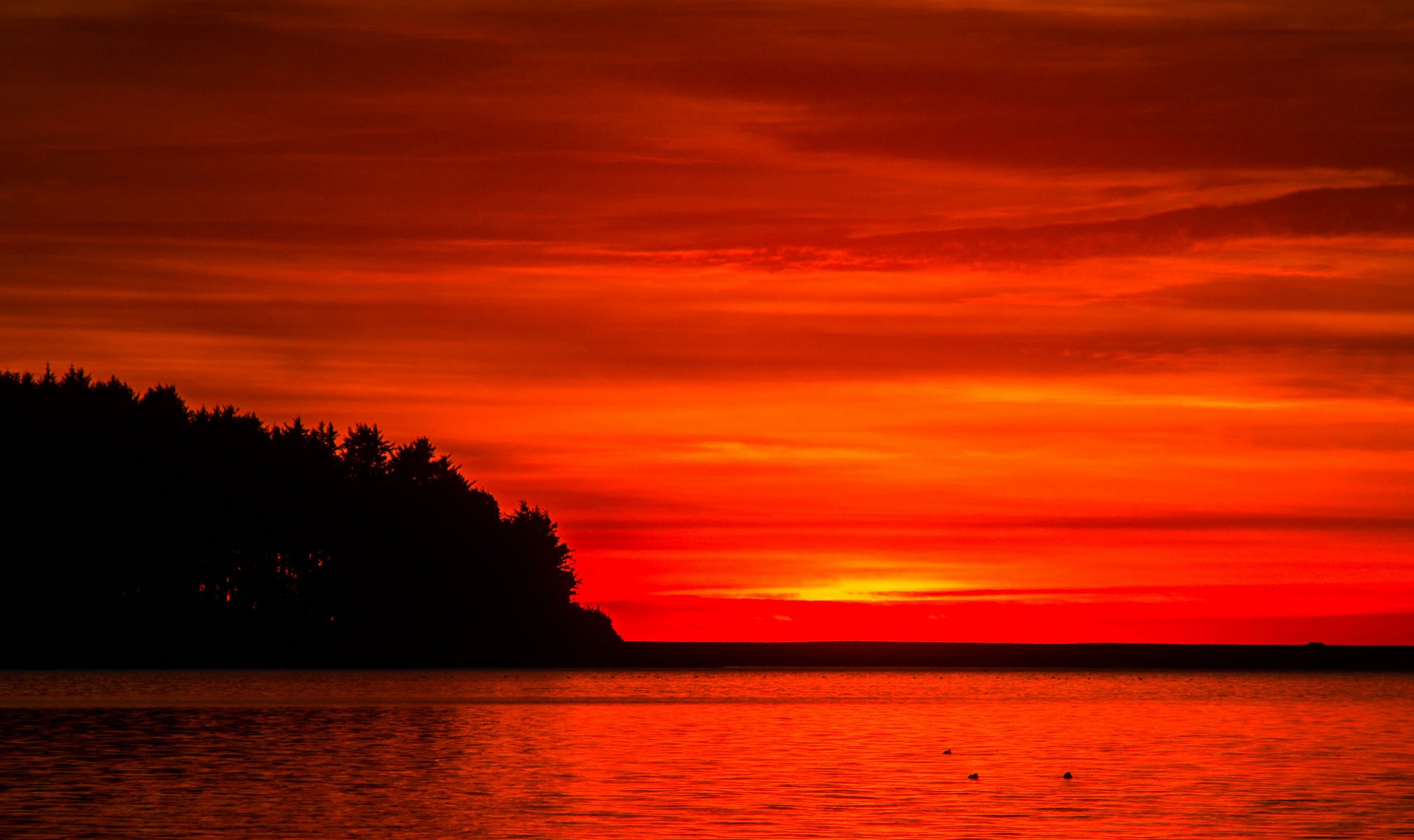 ciel nuages coucher de soleil lueur forêt arbres lac