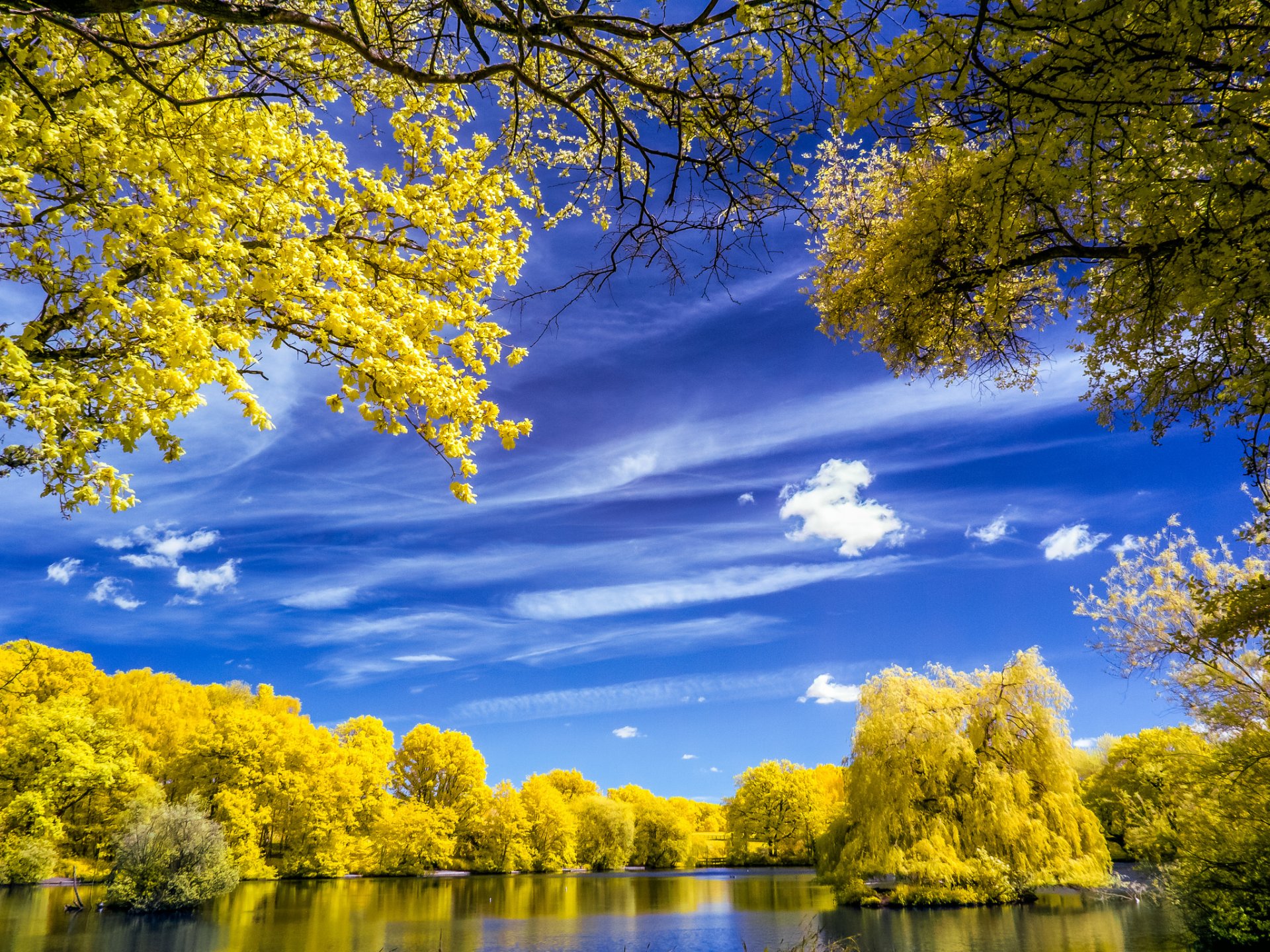 ciel nuages lac arbres automne