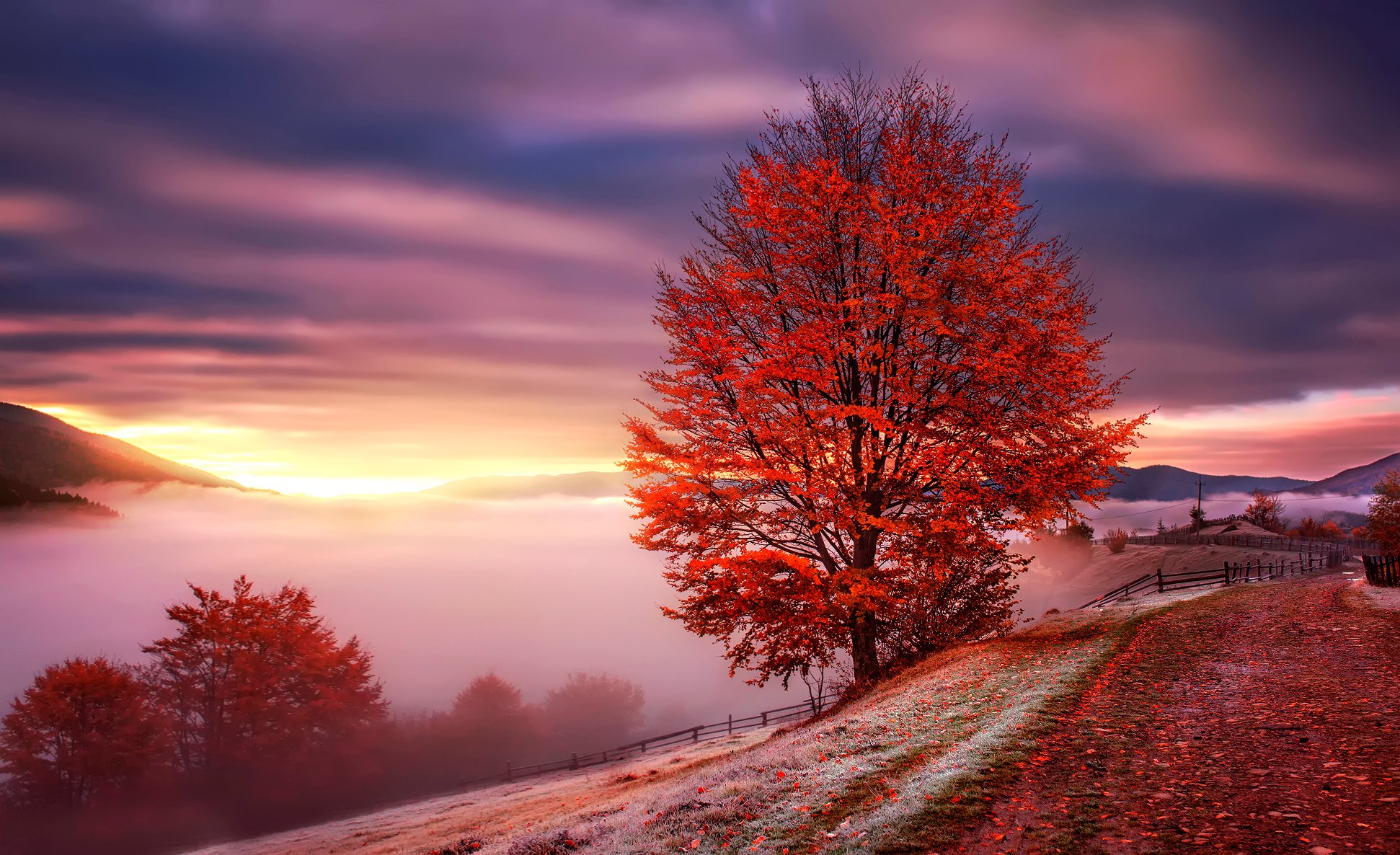 carpathian mountains ukraine mountain autumn dawn fog