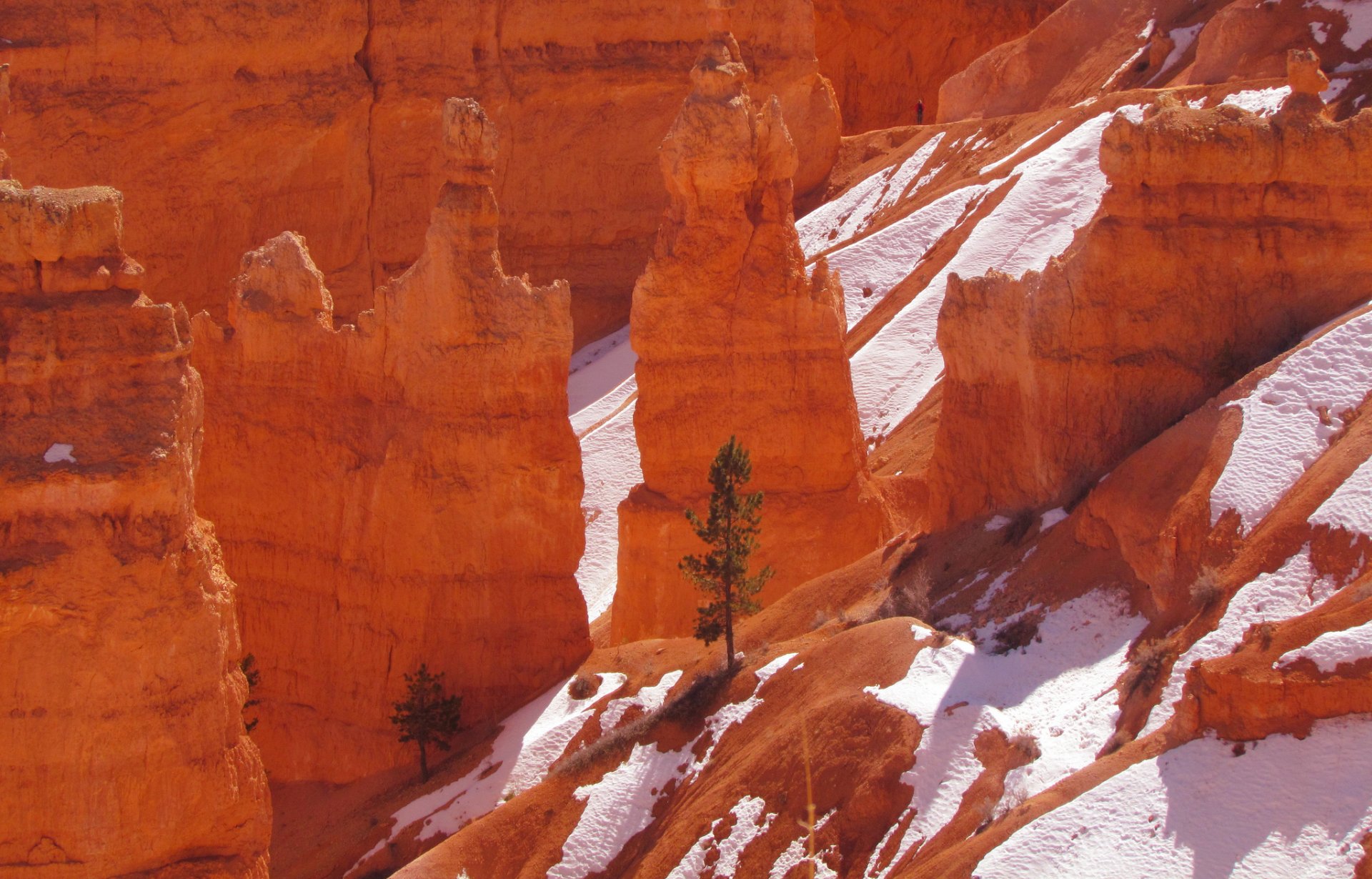 parque nacional bryce canyon utah estados unidos rocas montañas árbol nieve