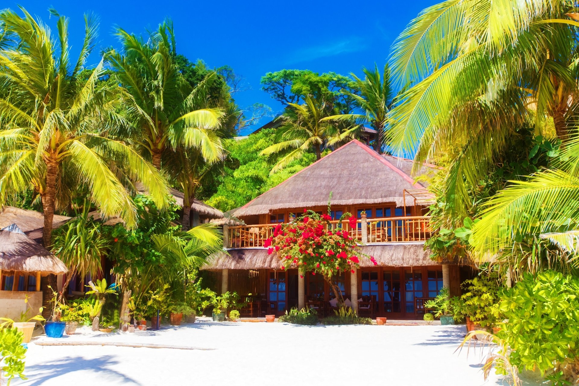 playa palmeras casas flores cielo