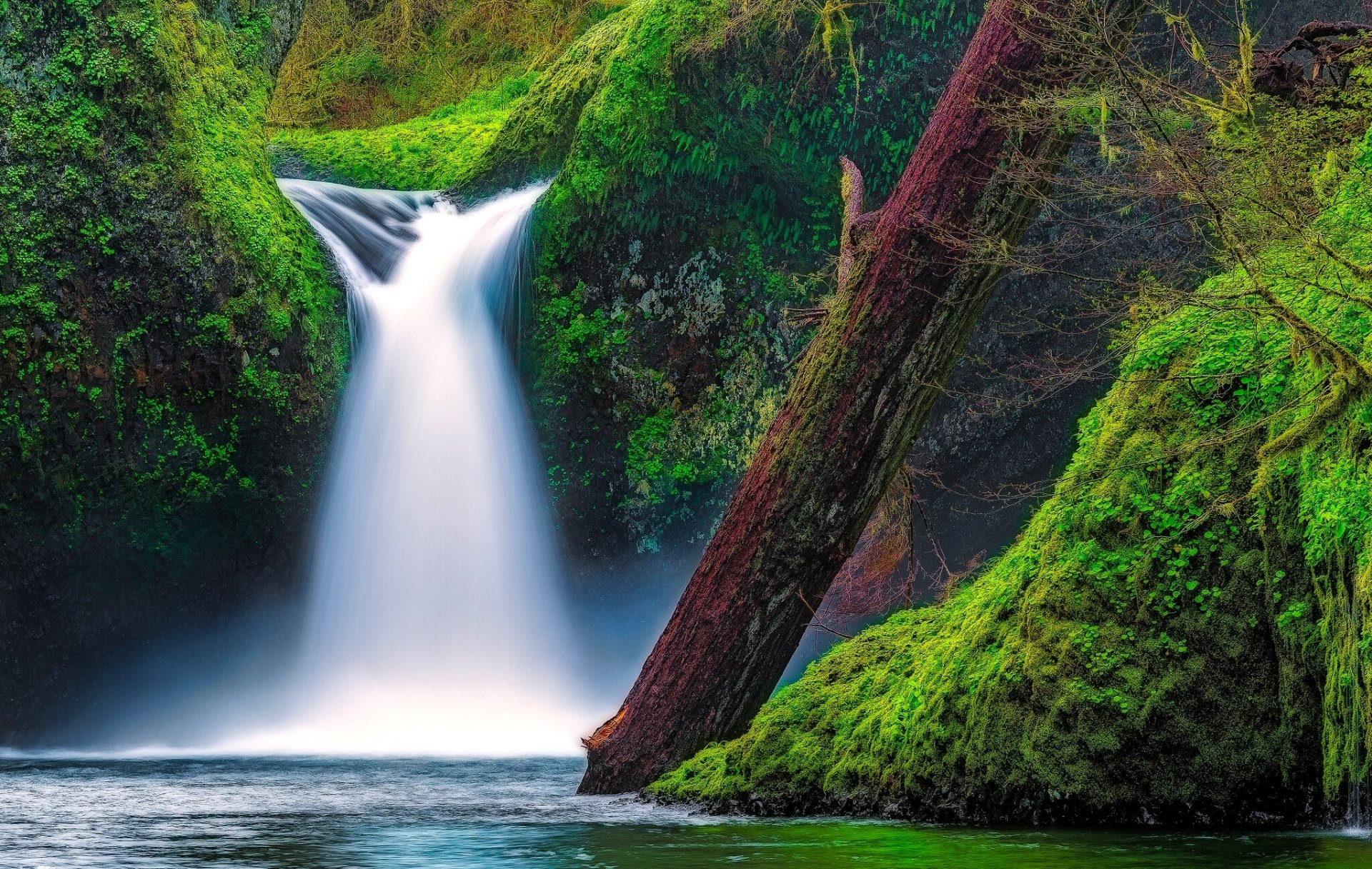 punch bowl cascada eagle creek columbia river gorge oregon punchbowl falls cascada río musgo tronco