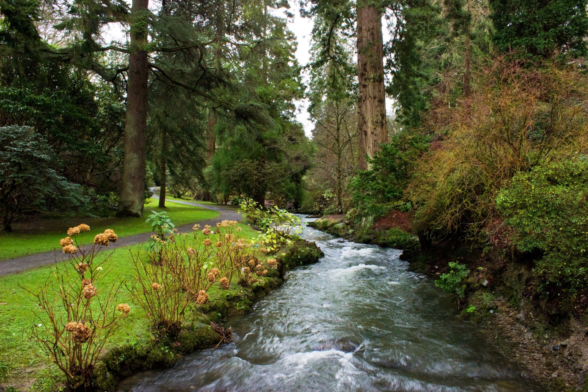 united kingdom park tree path creek for