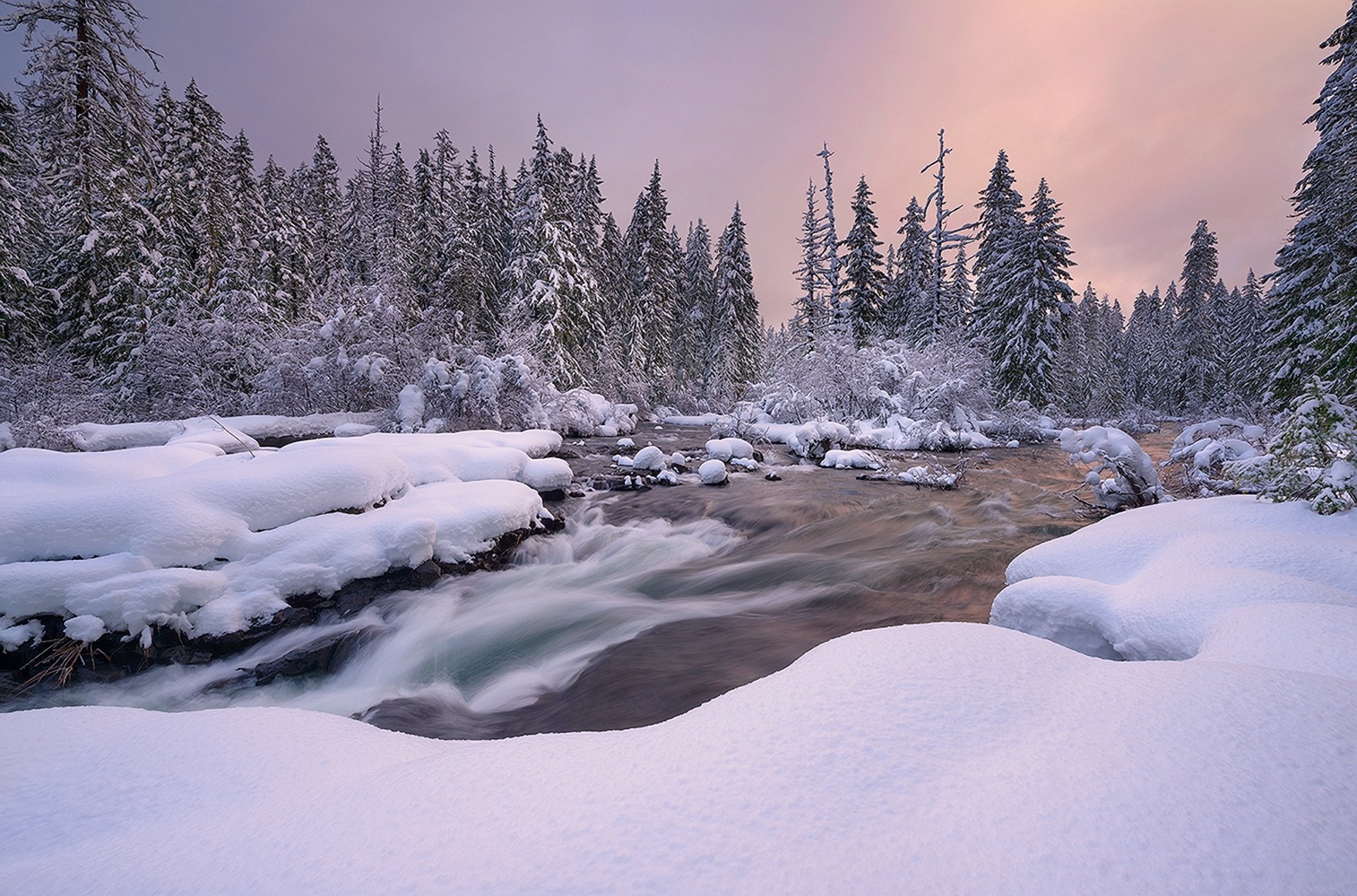 nature landscape winter snow river spruce sunset