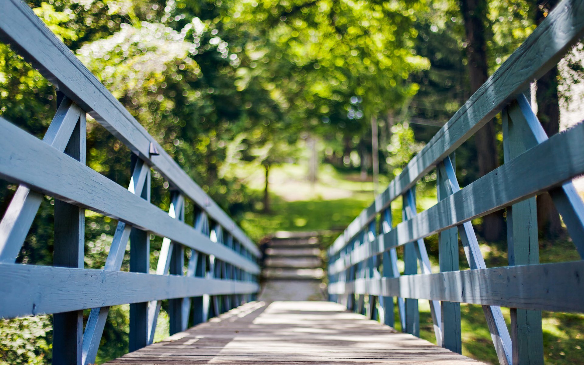 natura ponte ponte alberi albero fogliame estate sole giorno bokeh estate recinzione recinzione carta da parati widescreen schermo intero widescreen sfondo widescreen