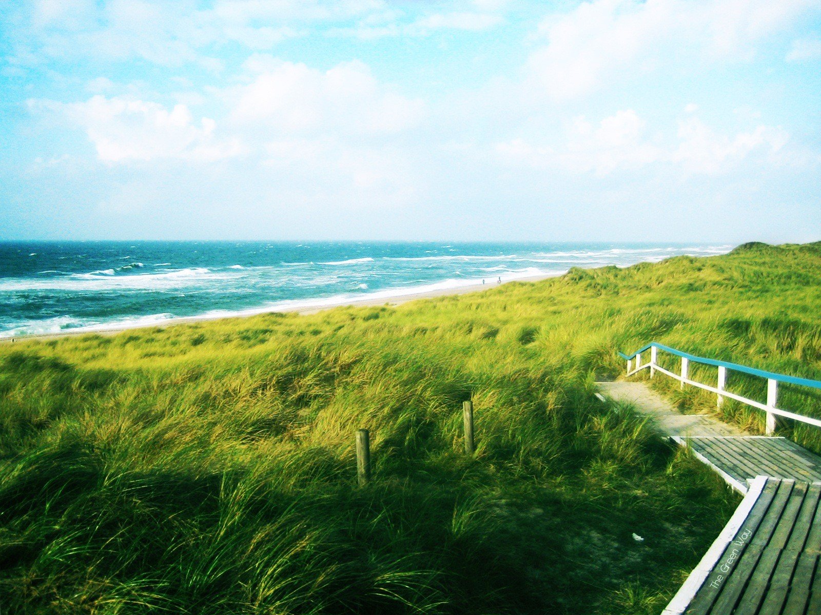 green road the way sea wave