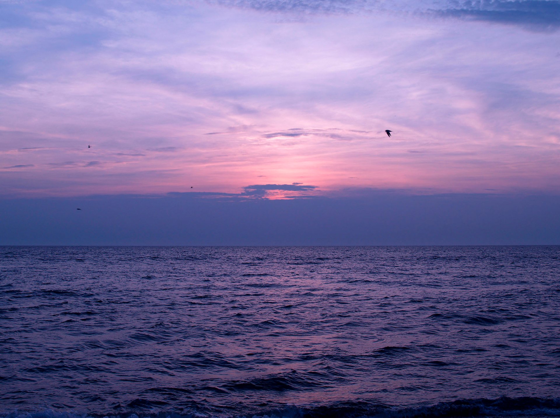 cielo nuvole tramonto mare uccelli