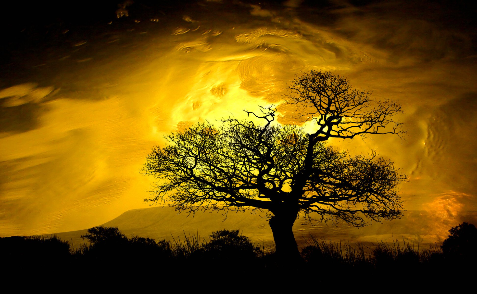 ciel nuages lueur montagnes arbre silhouette