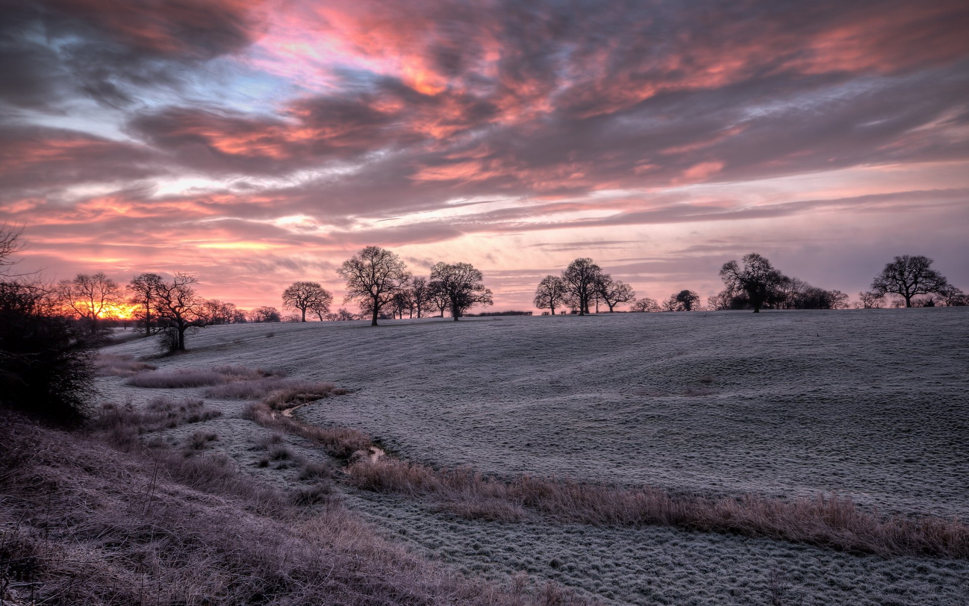 banbury hdr from freezing field trees silhouette