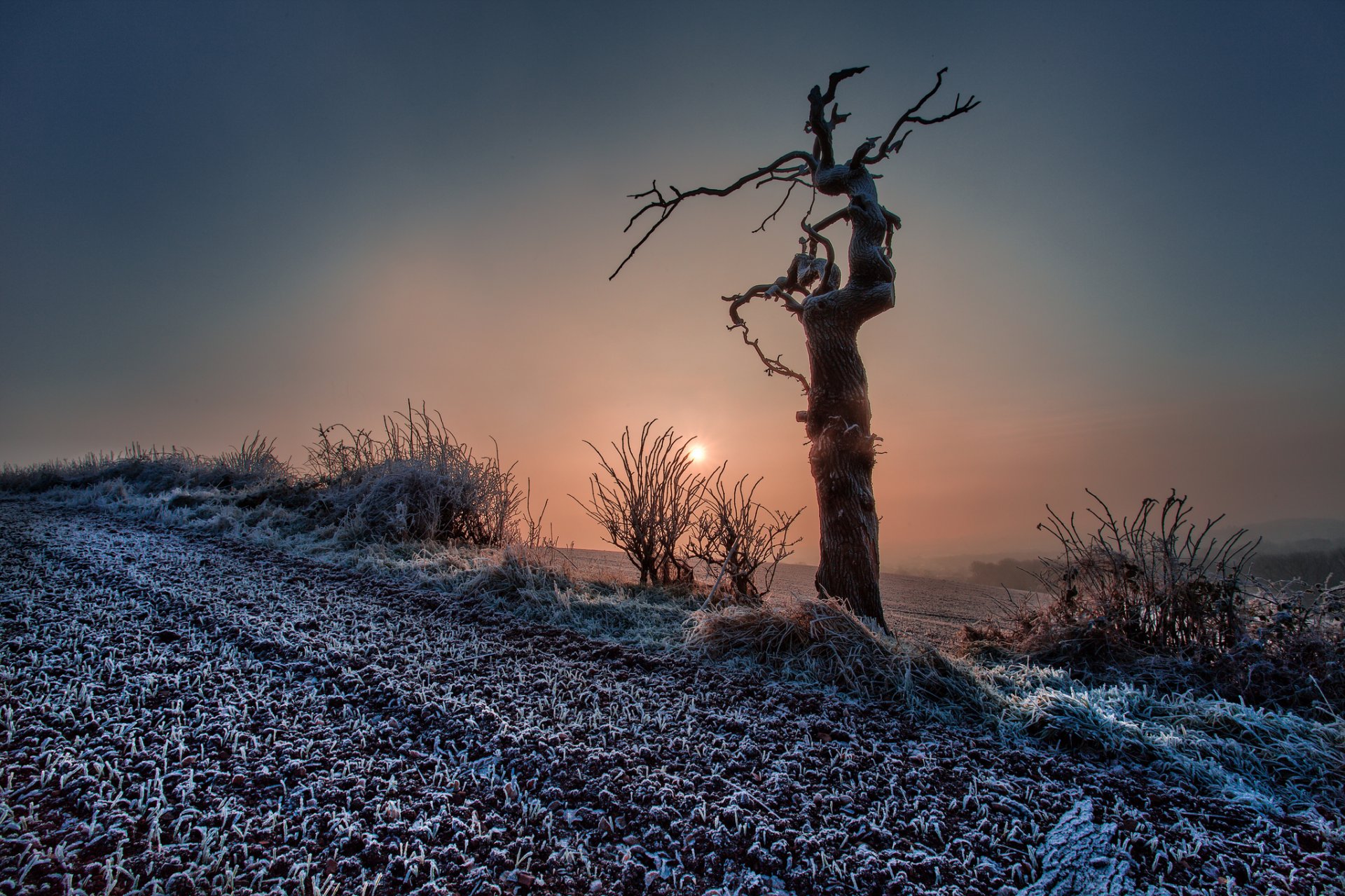 ky haze sunset the field tree autumn snow