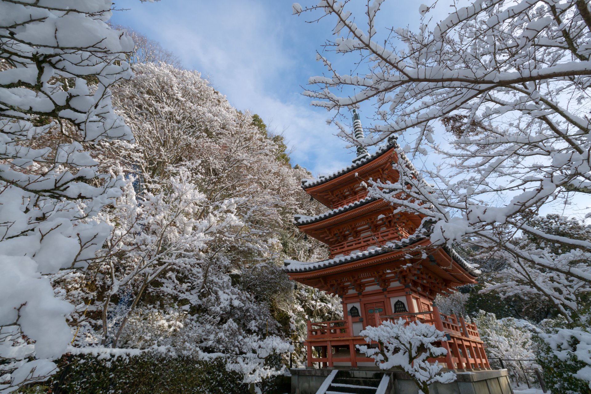 mimuroto-ji kyoto japonia kioto świątynia pagoda zima śnieg drzewa gałęzie