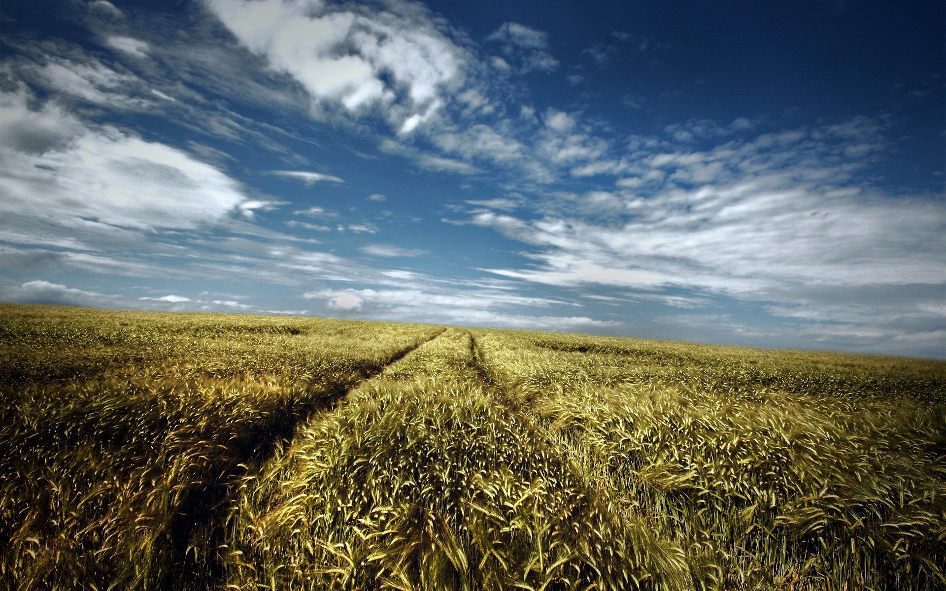 camino campo verano cielo