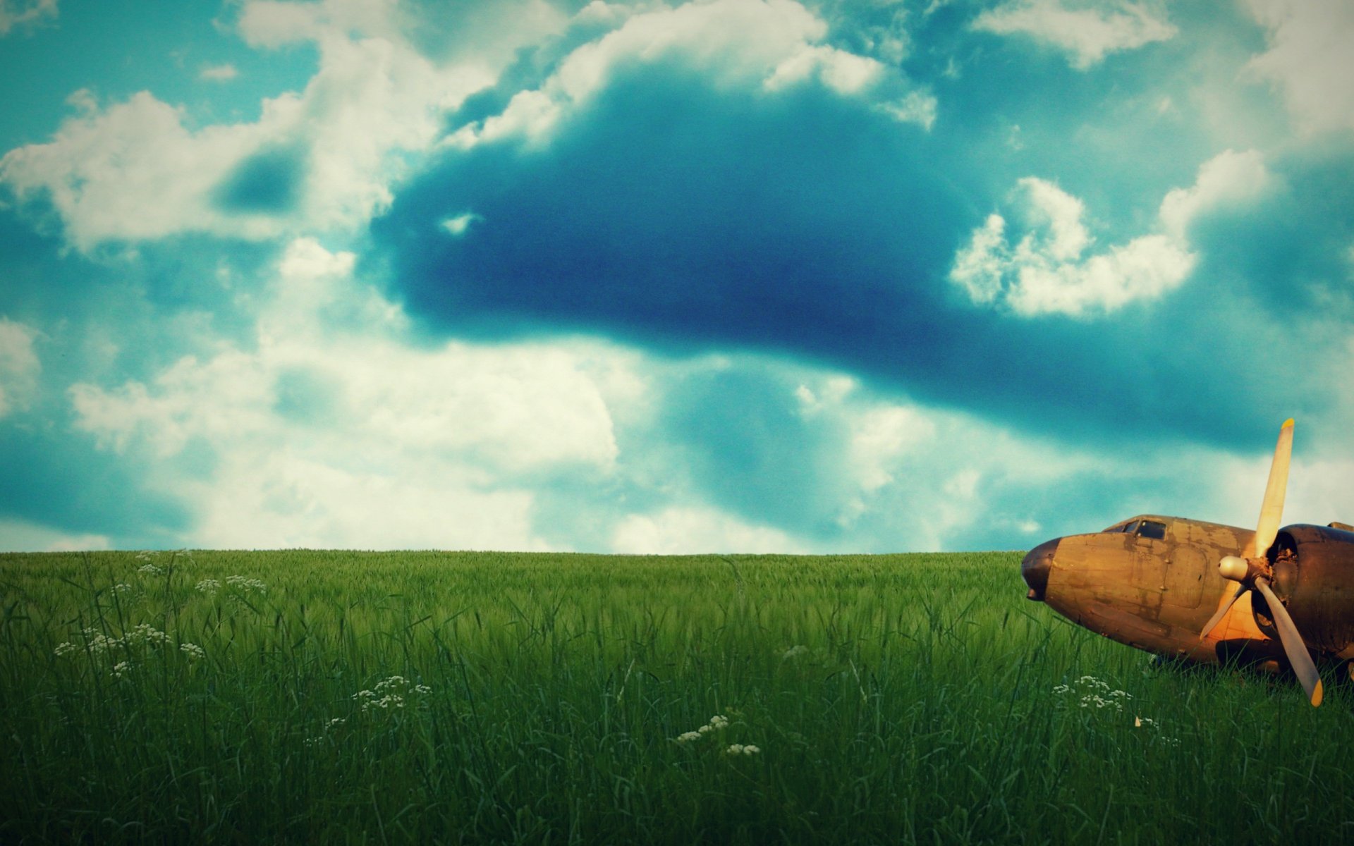 ciel verdure nuages avion humeur