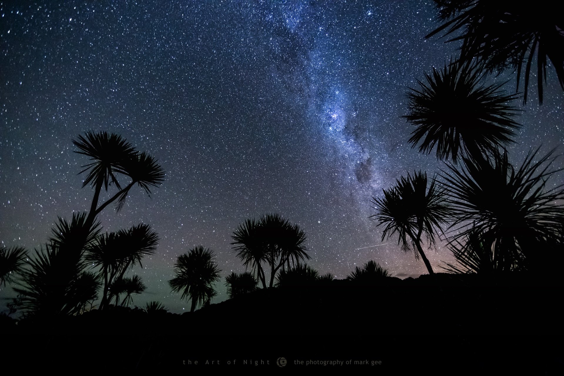 mark gee photographe nuit palmiers étoiles ciel météore