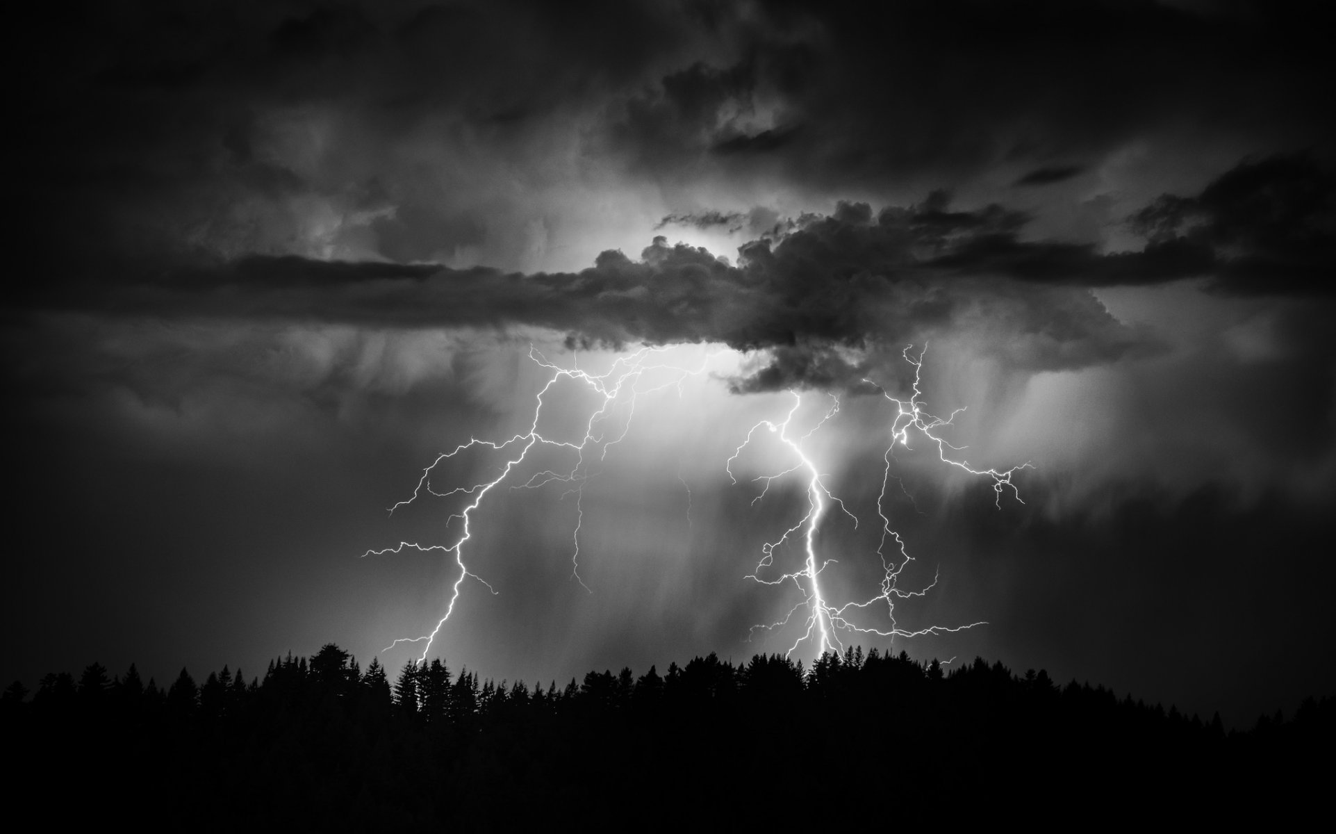 noche cielo nubes relámpago bosque