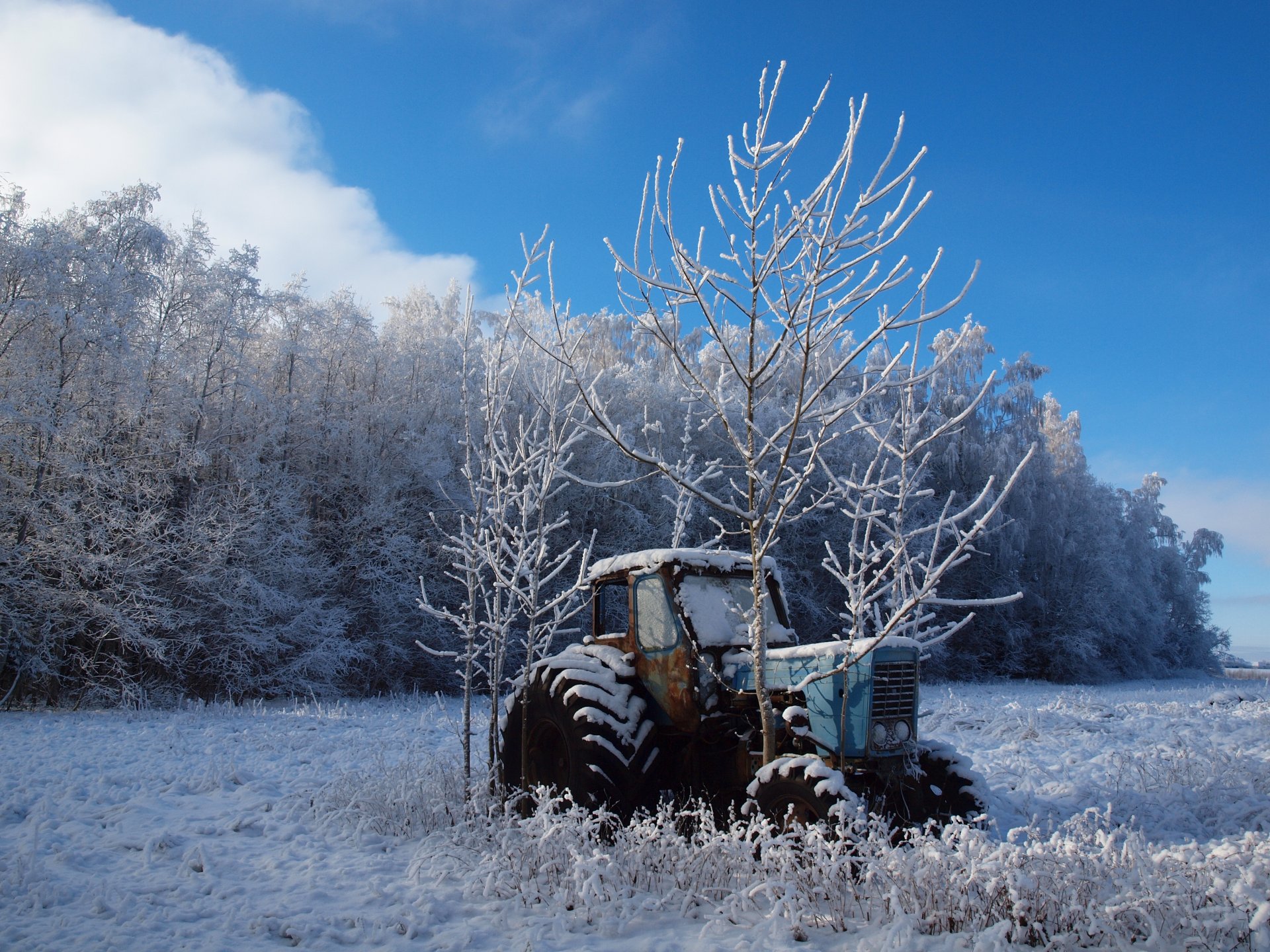 inverno campo alberi trattore paesaggio natura