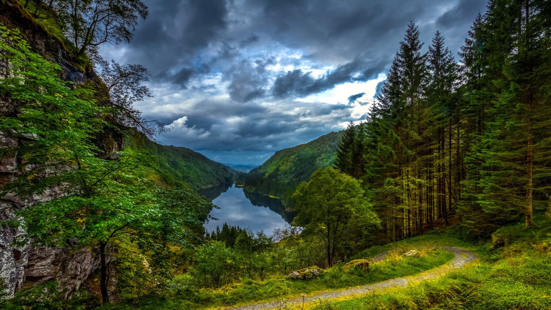 forêt montagnes nature