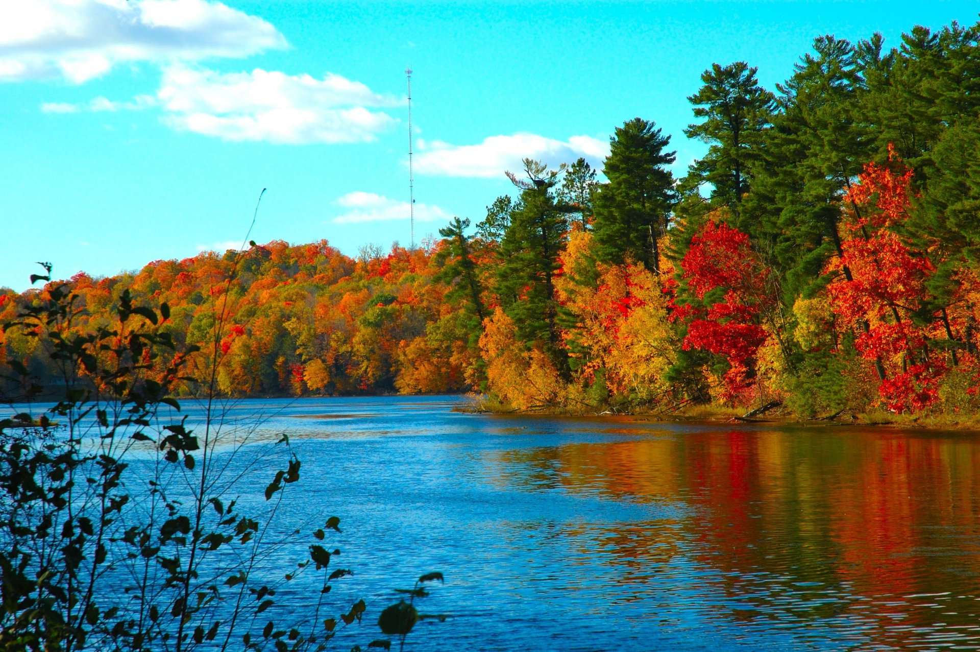 automne froid lac eau