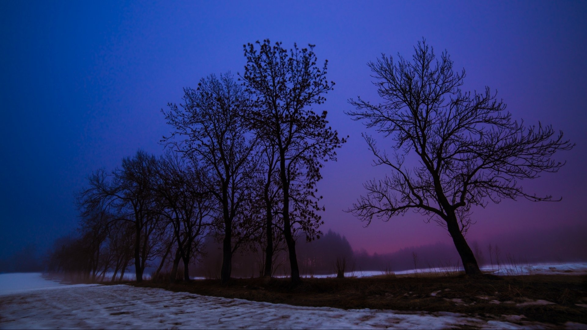 soirée neige hiver arbres