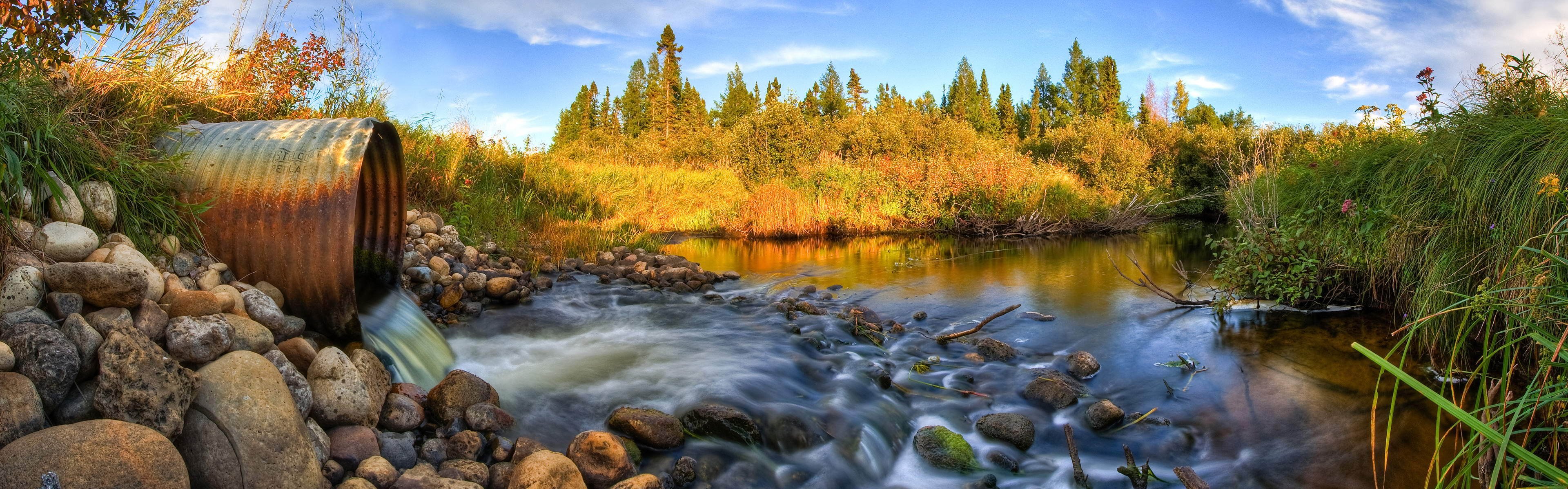 wald panorama fluss rohr abfluss steine