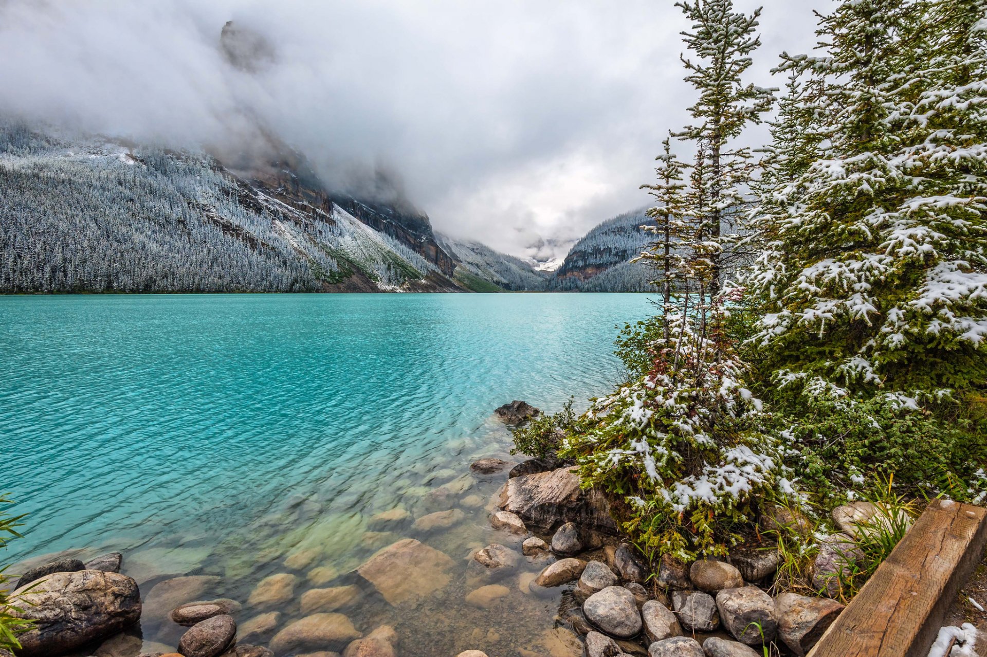 montagnes brouillard lac arbres pierres