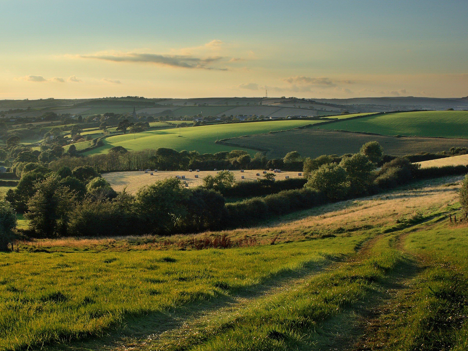 natur feld straße