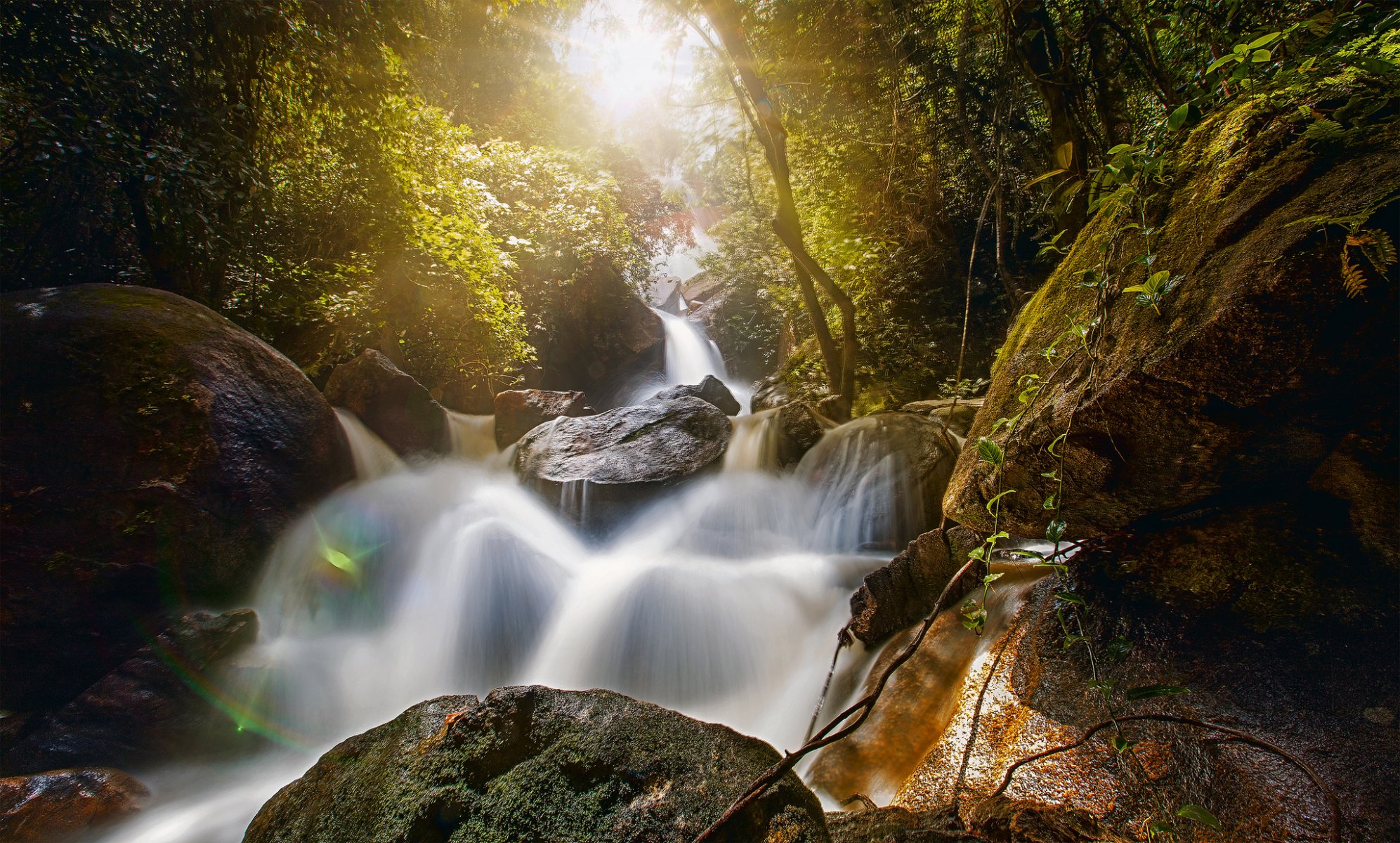 velo de novia bonito pernambuco brasil cascada bridlevale cascada velo de novia bonito cascada piedras rocas bosque