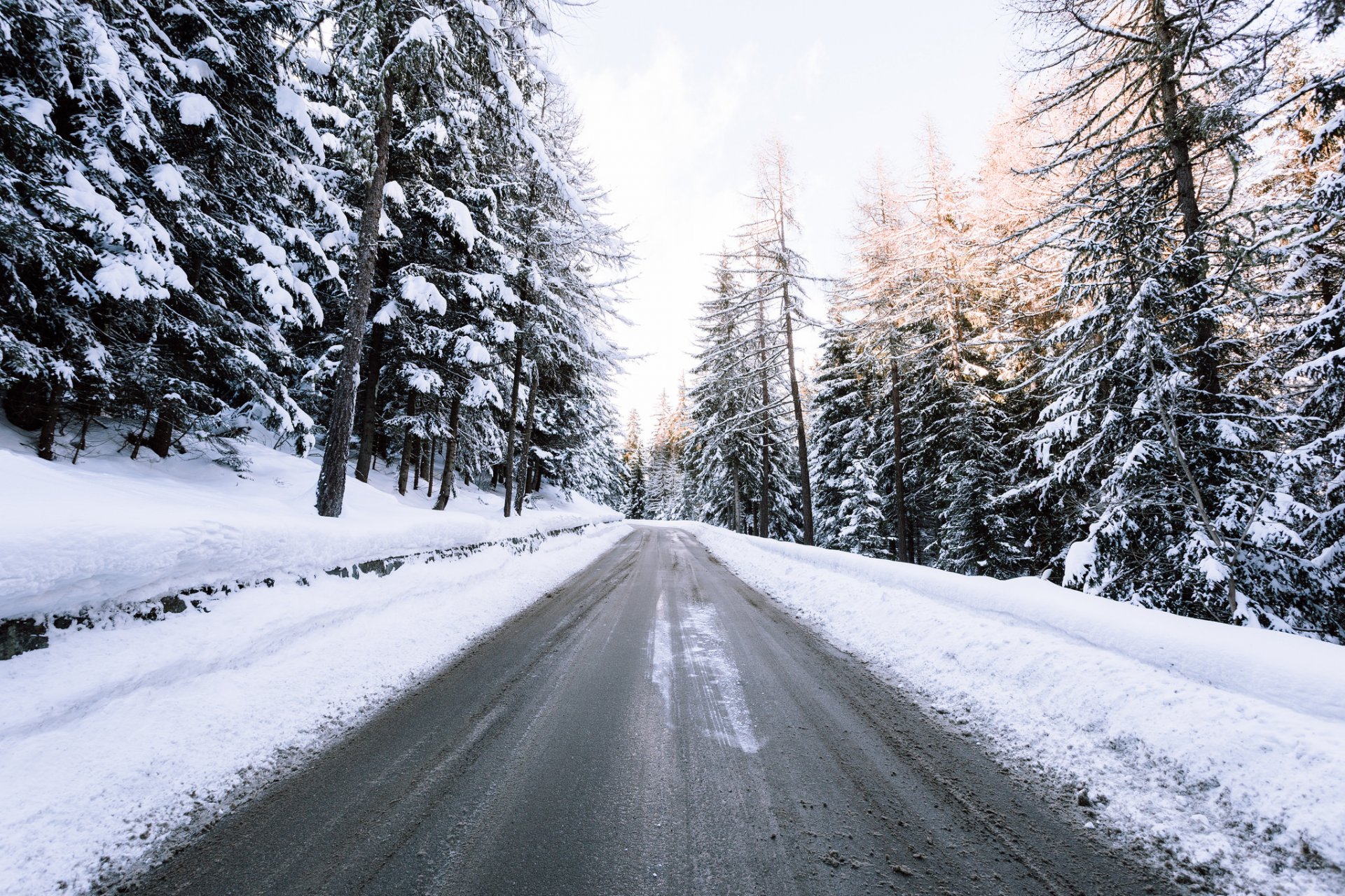 carretera bosque invierno