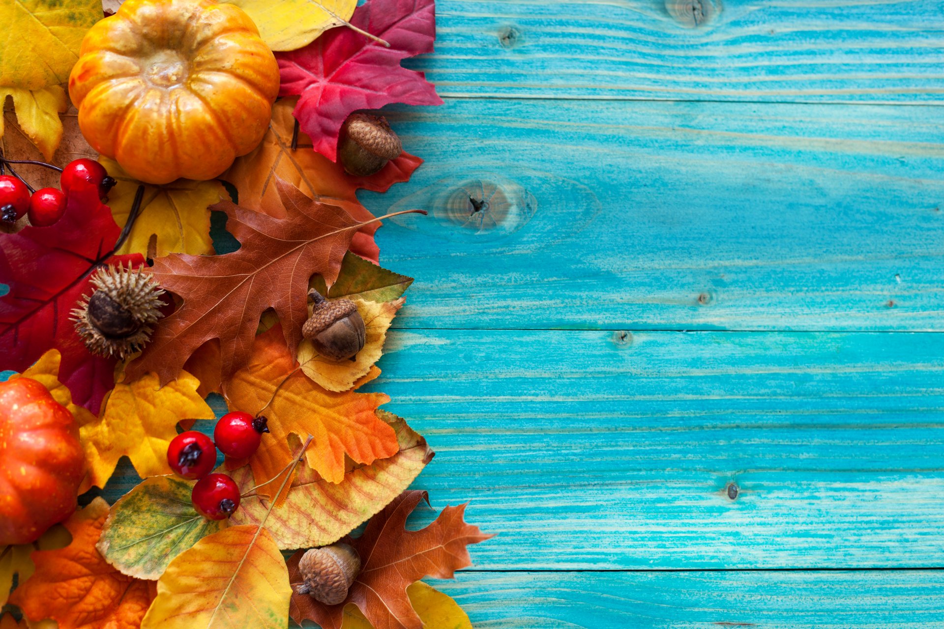 herbst blätter baum ernte eicheln beeren kürbisse