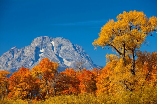 Cielo azul de otoño sobre la montaña