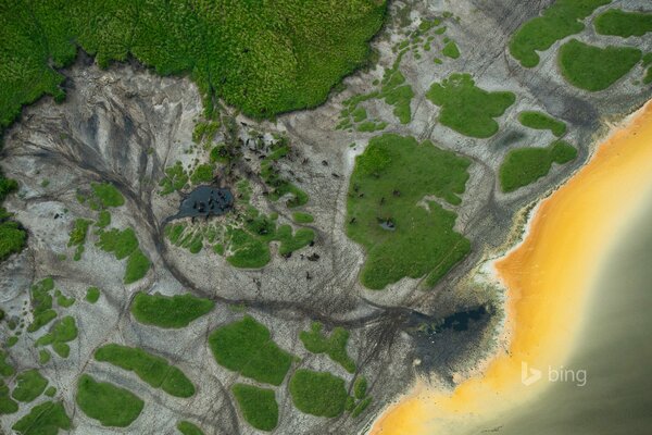 Rebaño de búfalos en un abrevadero en África