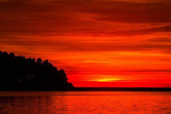 Scharlachroter Sonnenuntergang am Himmel