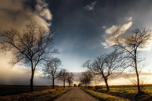 White clouds over the autumn road