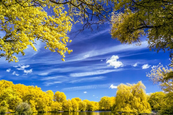 Golden autumn in nature