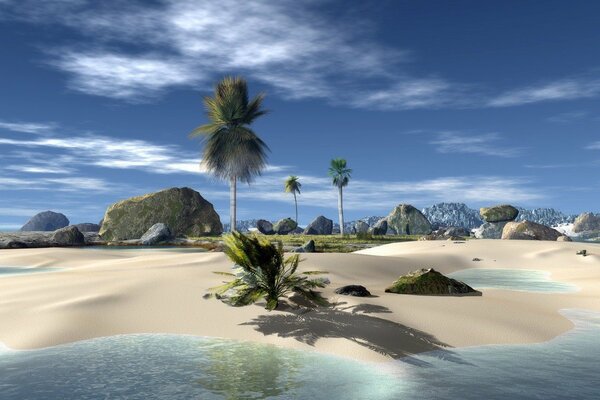 An uninhabited island. Palm trees on the island. Snow-white sand