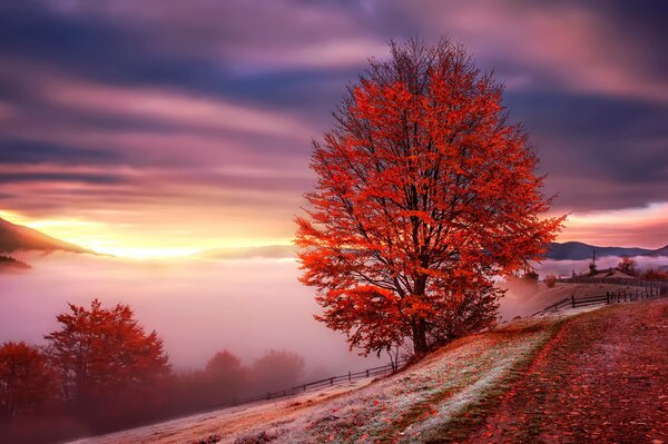 Autumn evening ocean countryside